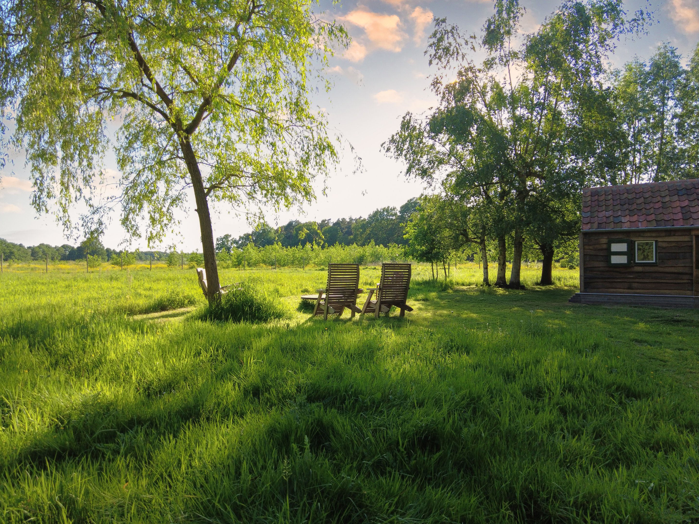 uitzicht vanuit de tuin van de retreat-hoeve in het Drongengoedbos